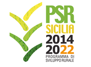 psr 2014 2022